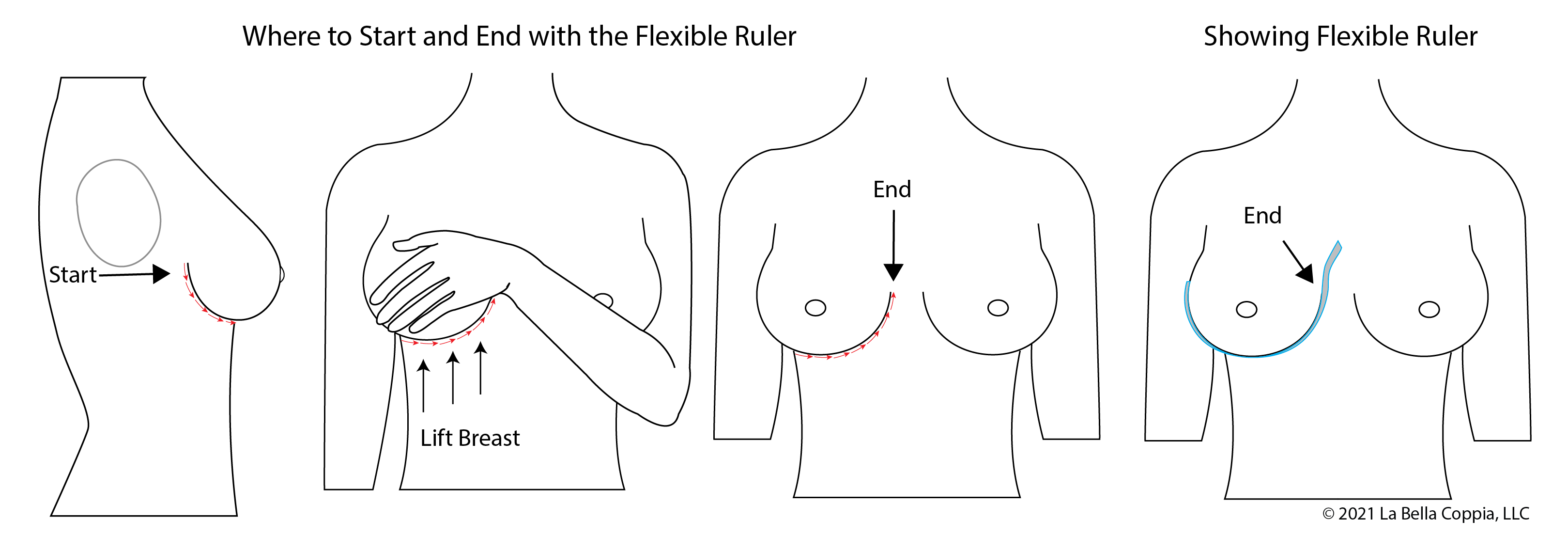 A diagram of a breast root trace, showing a flexible ruler starting at the outside of the breast root, curving around the IMF under the breast, and ending