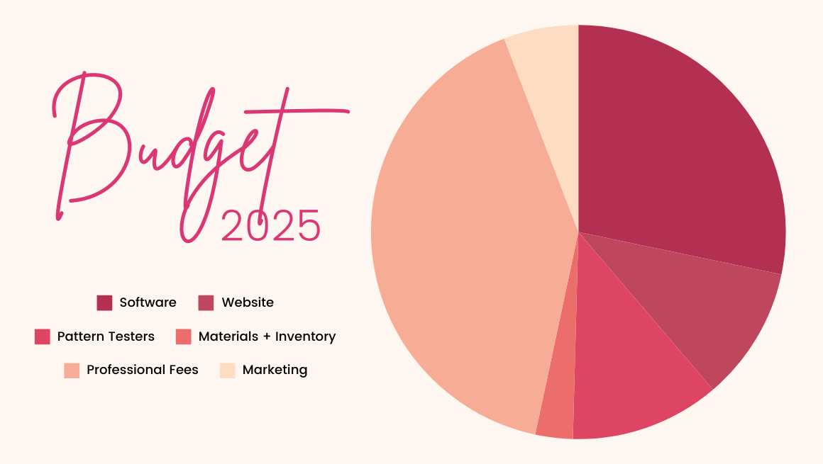 A pie chart titled "Budget 2025" showcases Sew Busty's business allocation. Segments for Software, Website, Pattern Testers, Materials + Inventory, Professional Fees, and Marketing shine in pink and red hues. A clear legend is elegantly placed on the left side.